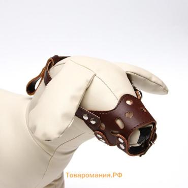 Намордник из прессованной кожи регулируемый, №2, ДН 5 см, ОМ 15-22 см, коричневый