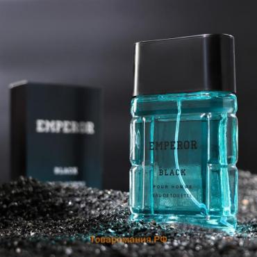 Туалетная вода мужская Emperor Black, 100 мл (по мотивам Sauvage (C.Dior)