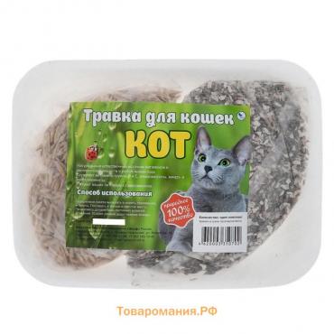 Травка "Кот" для кошек, на подложке