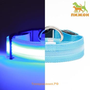 Ошейник с подсветкой, зарядка от USB, размер S, ОШ 34-41 см, 3 режима, голубой