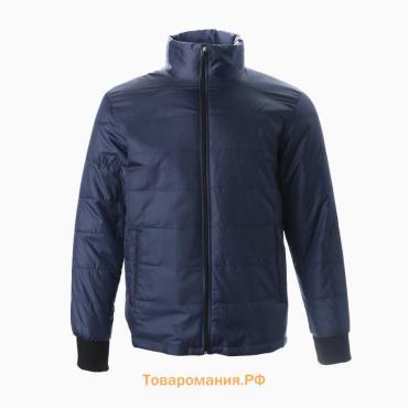 Куртка мужская демисезоная, цвет синий, размер 54
